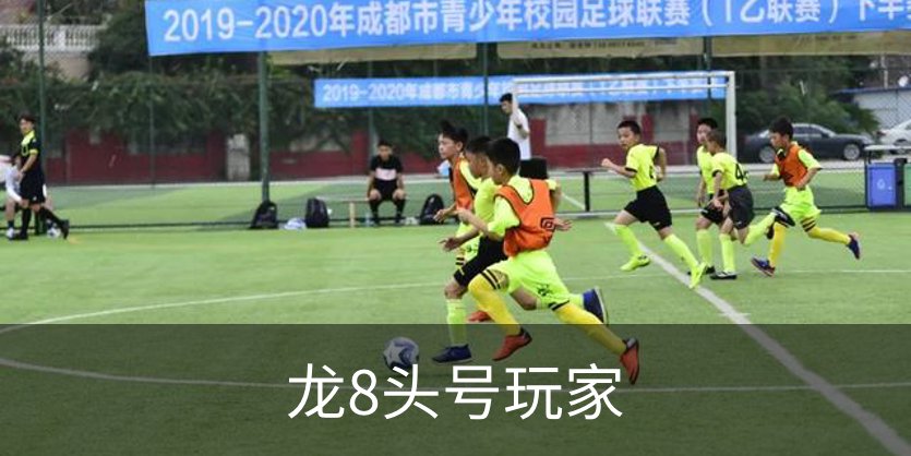 龙8头号玩家介绍